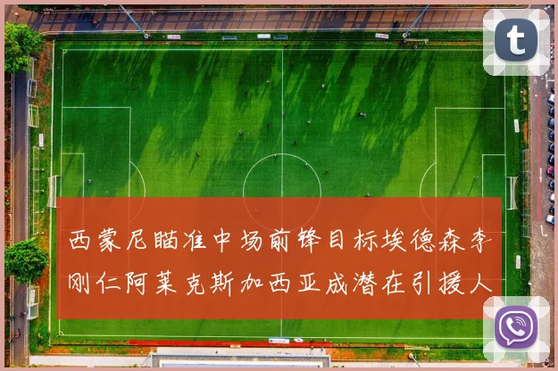 西蒙尼瞄准中场前锋目标埃德森李刚仁阿莱克斯加西亚成潜在引援人选