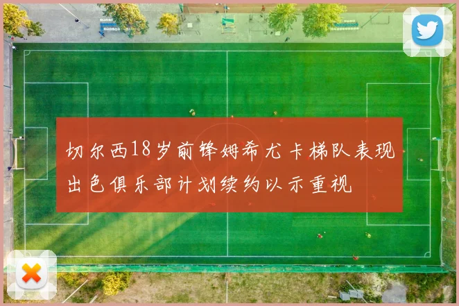 切尔西18岁前锋姆希尤卡梯队表现出色俱乐部计划续约以示重视