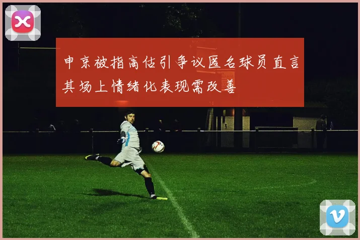 申京被指高估引争议匿名球员直言其场上情绪化表现需改善